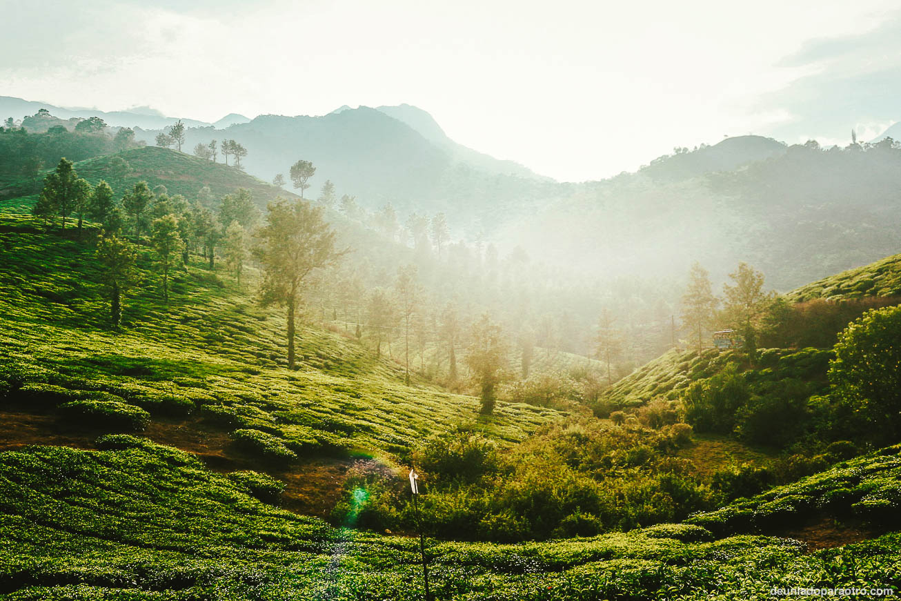 Wayanad, una escapada rural poco conocida que hacer en Kerala