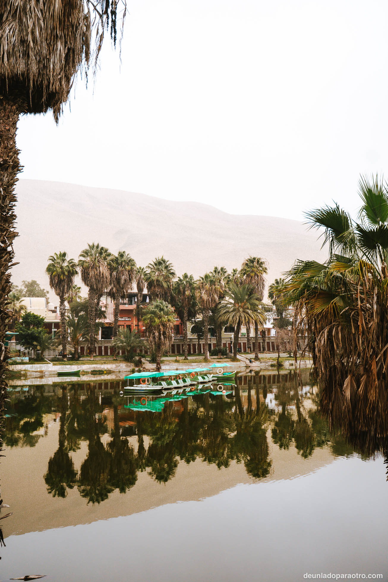 Qué hacer en Huacachina: 5 planes imprescindibles y cómo llegar
