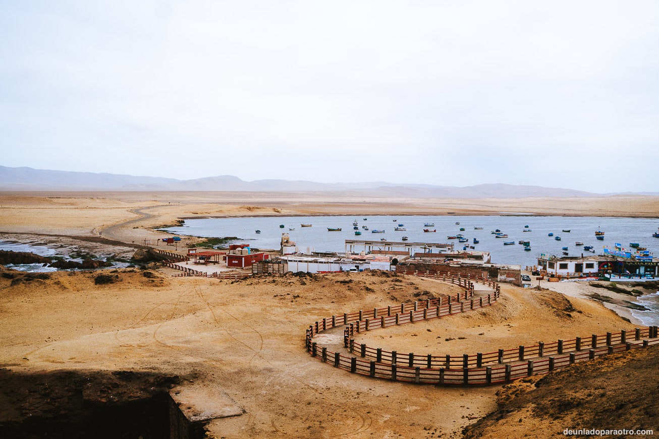 Lo mejor que ver en Paracas en 1 día