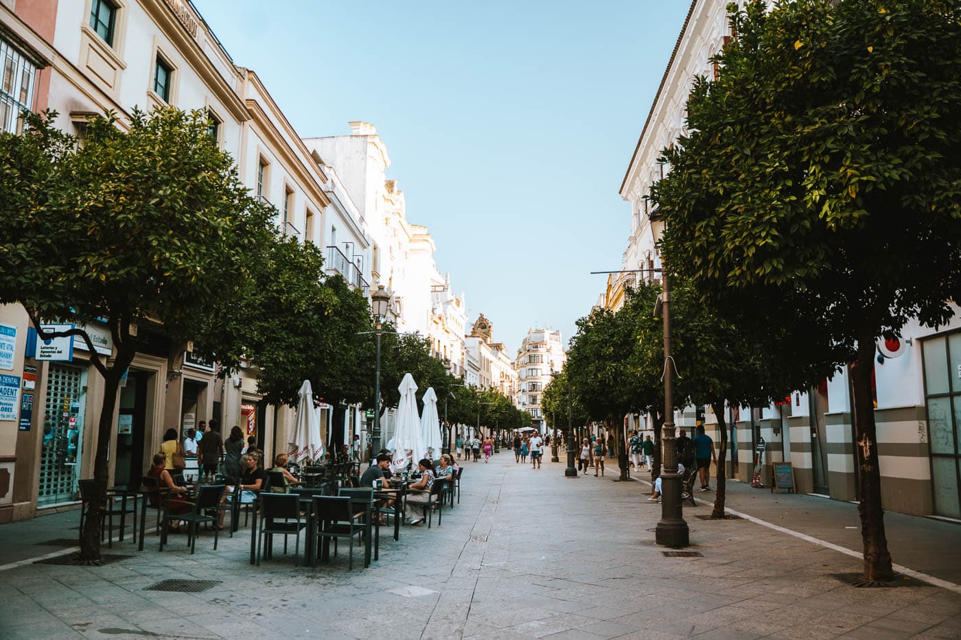 Calle Larga, una avenida llena de vida que ver en Jerez de la Frontera