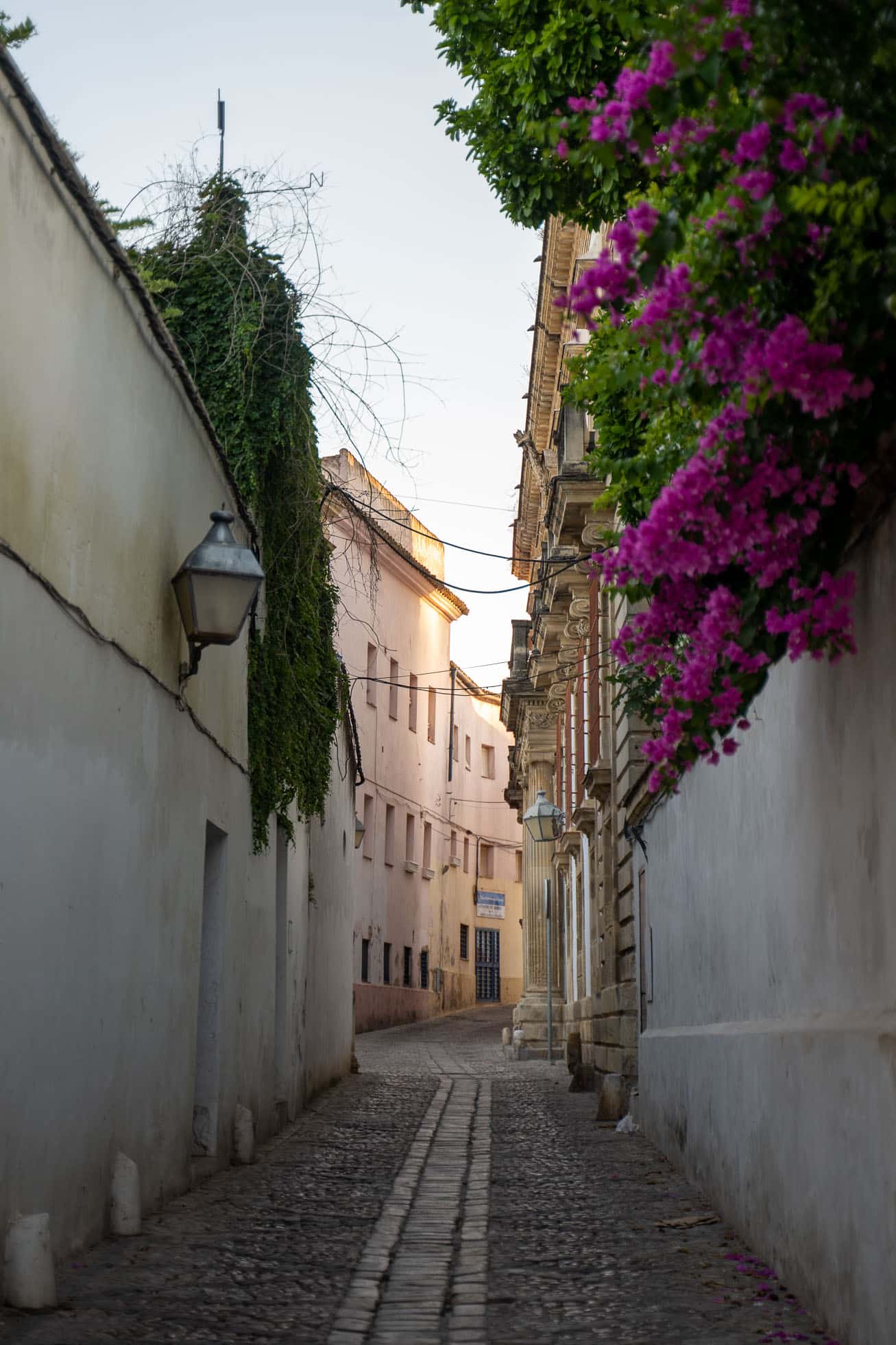 Barrio de Santiago, uno de los barrios más auténticos que ver en Jerez