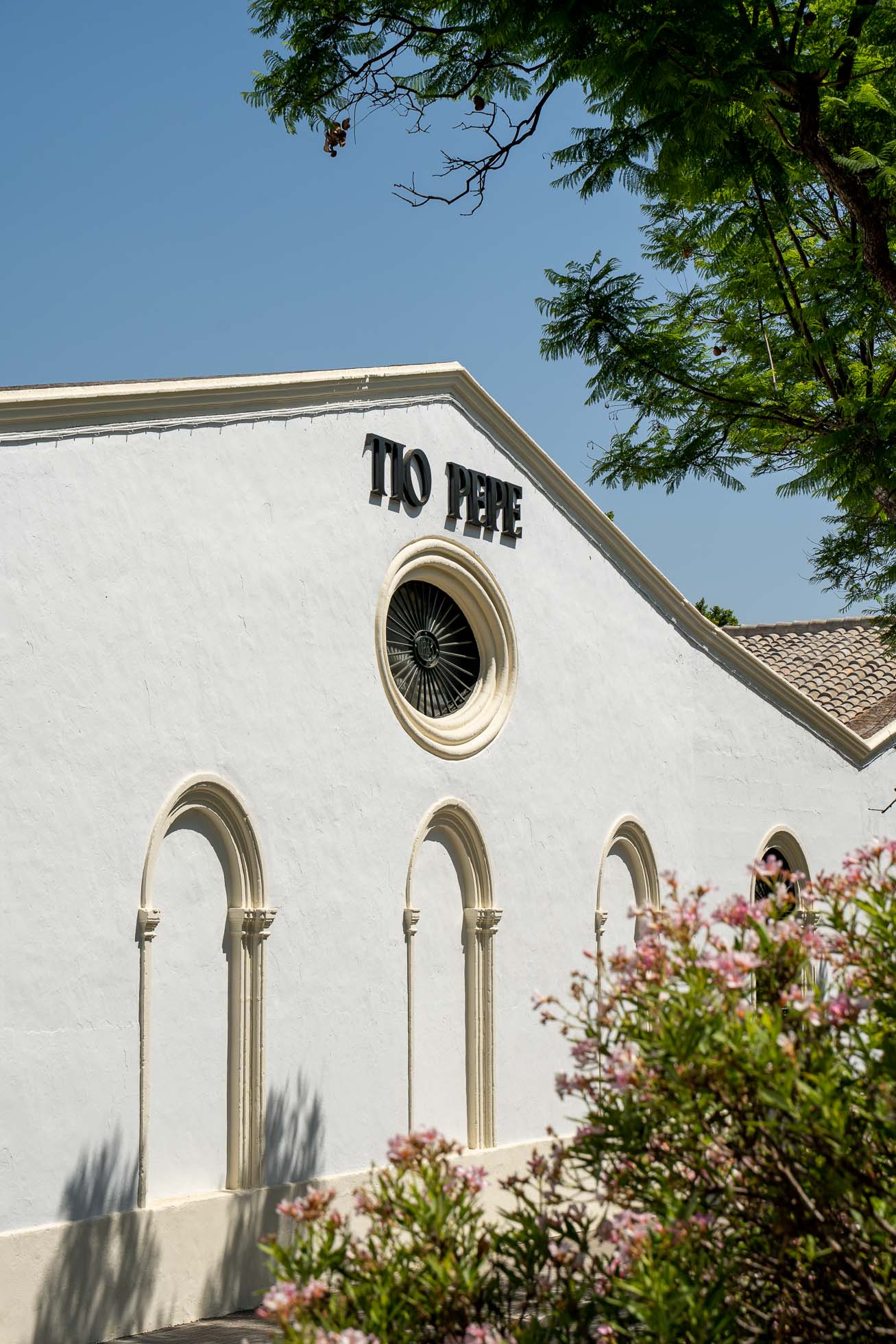 Bodegas Tío Pepe, un plan diferente y entretenido que hacer en Jerez de la Frontera en 1 día