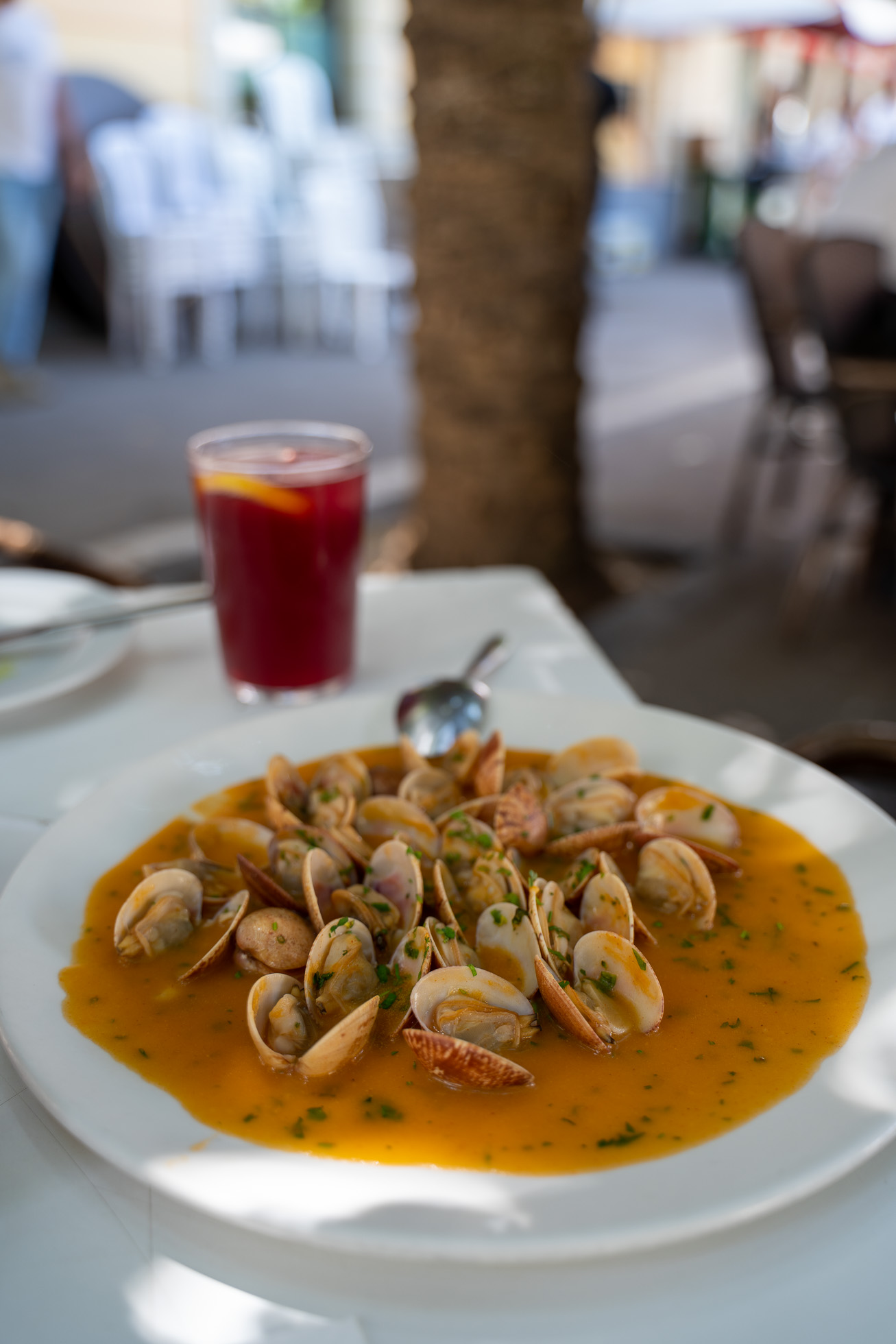 Recomendaciones gastronómicas en Jerez