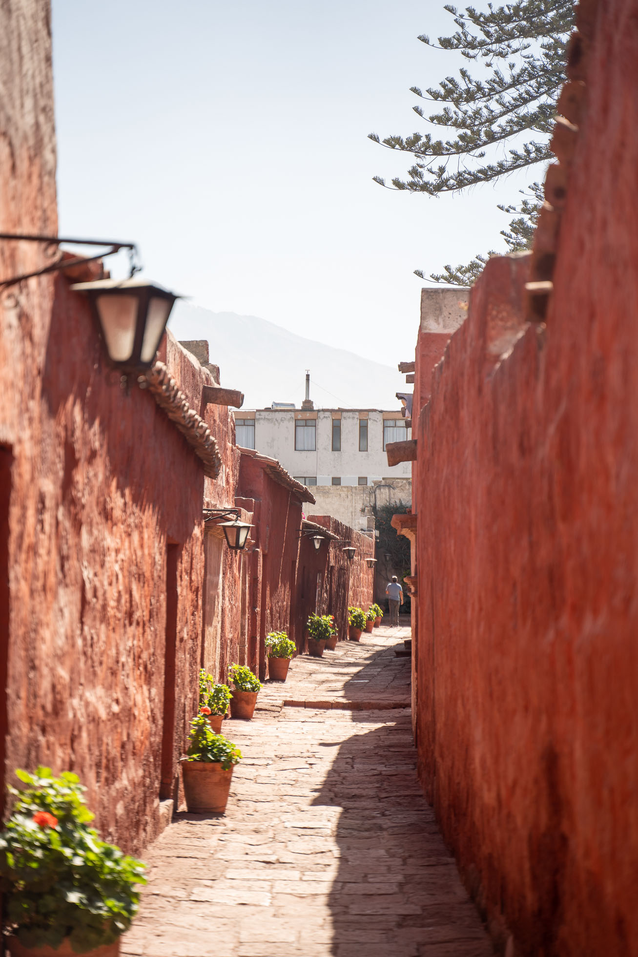 Planes y visitas interesantes que hacer en Arequipa