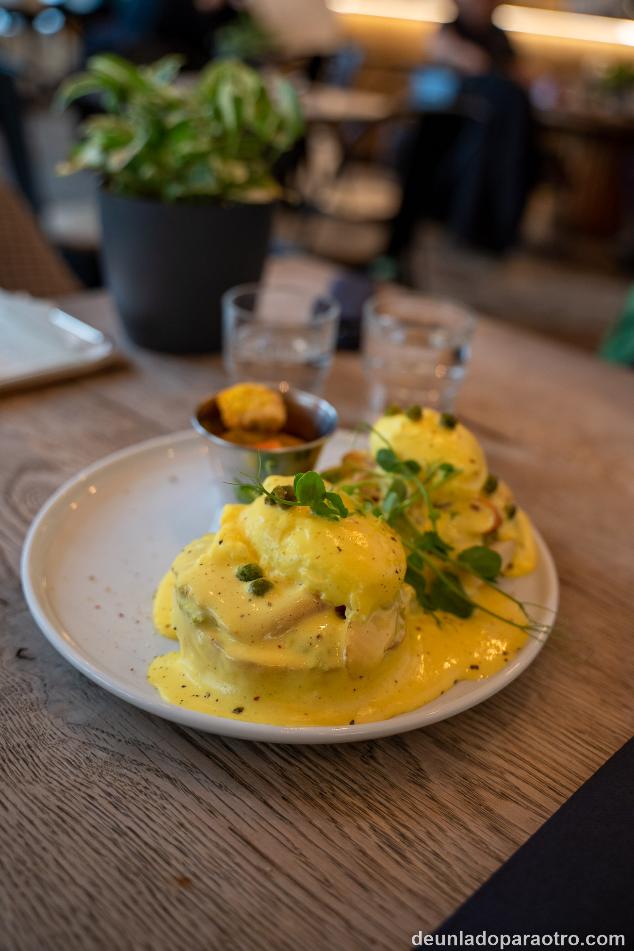 Café SKØG, un sitio elegante para tomar algo en Brno