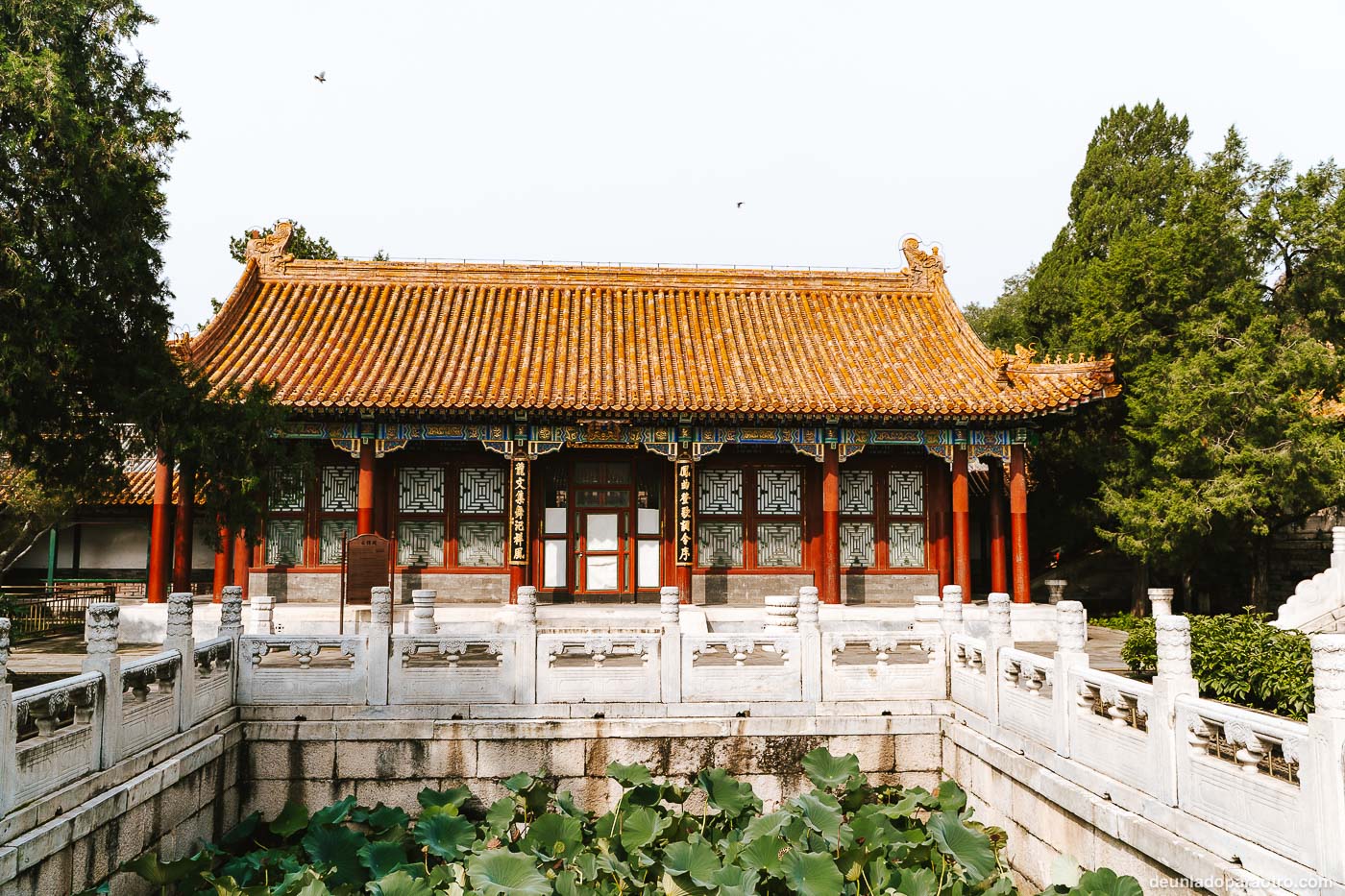 Ruta por China en 15 días