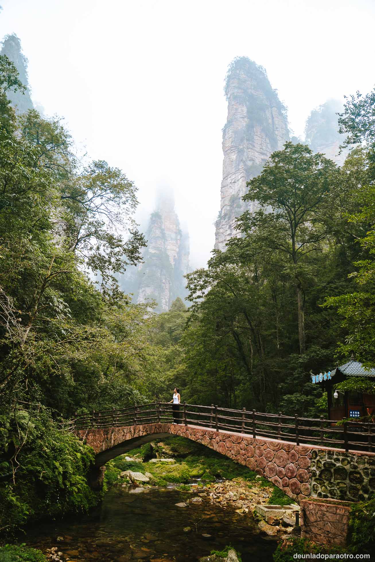 Parque Nacional de Zhangjiajie