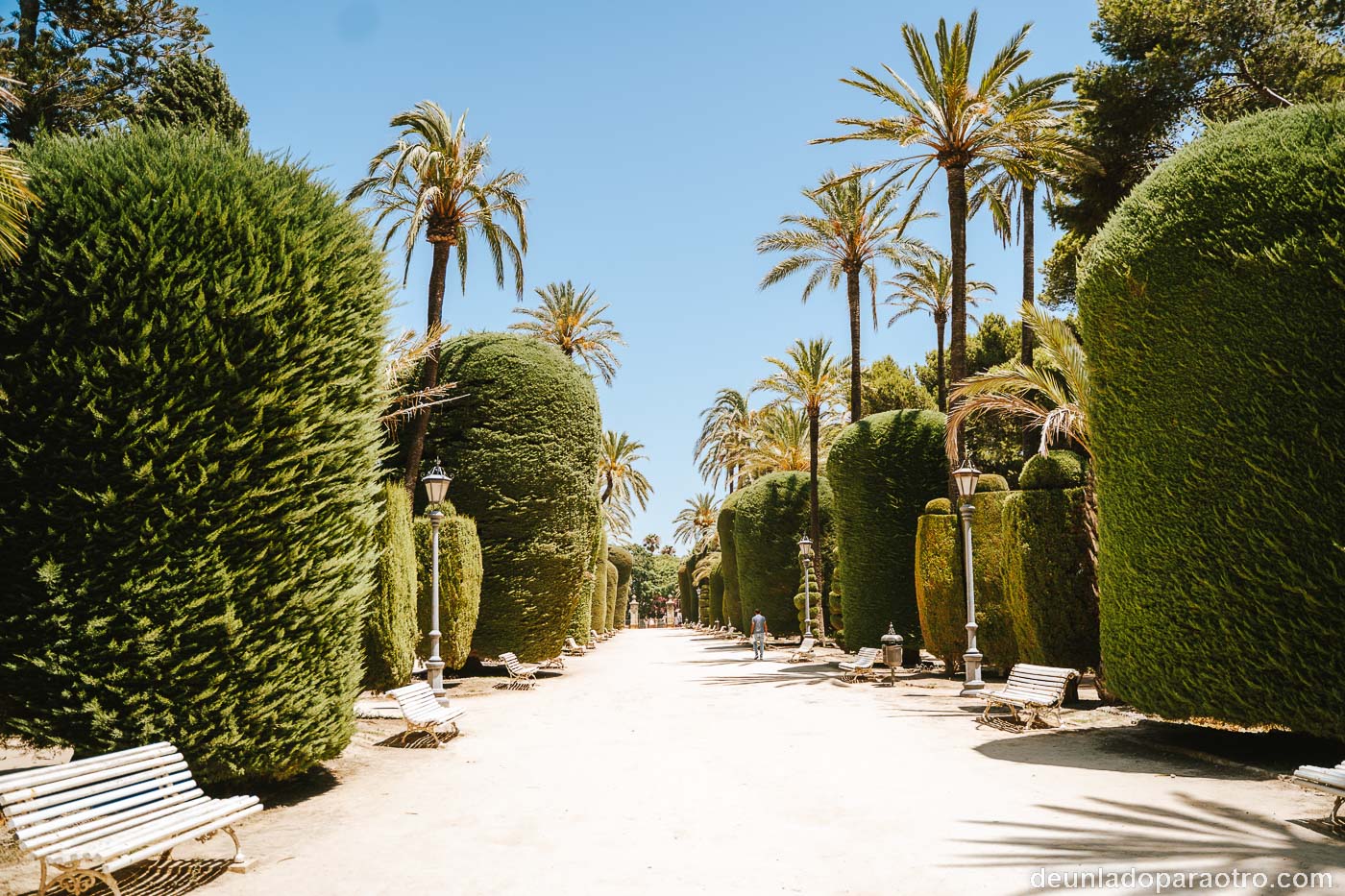 Parque Genovés, una de las mejores cosas que ver en Cádiz en 1 día