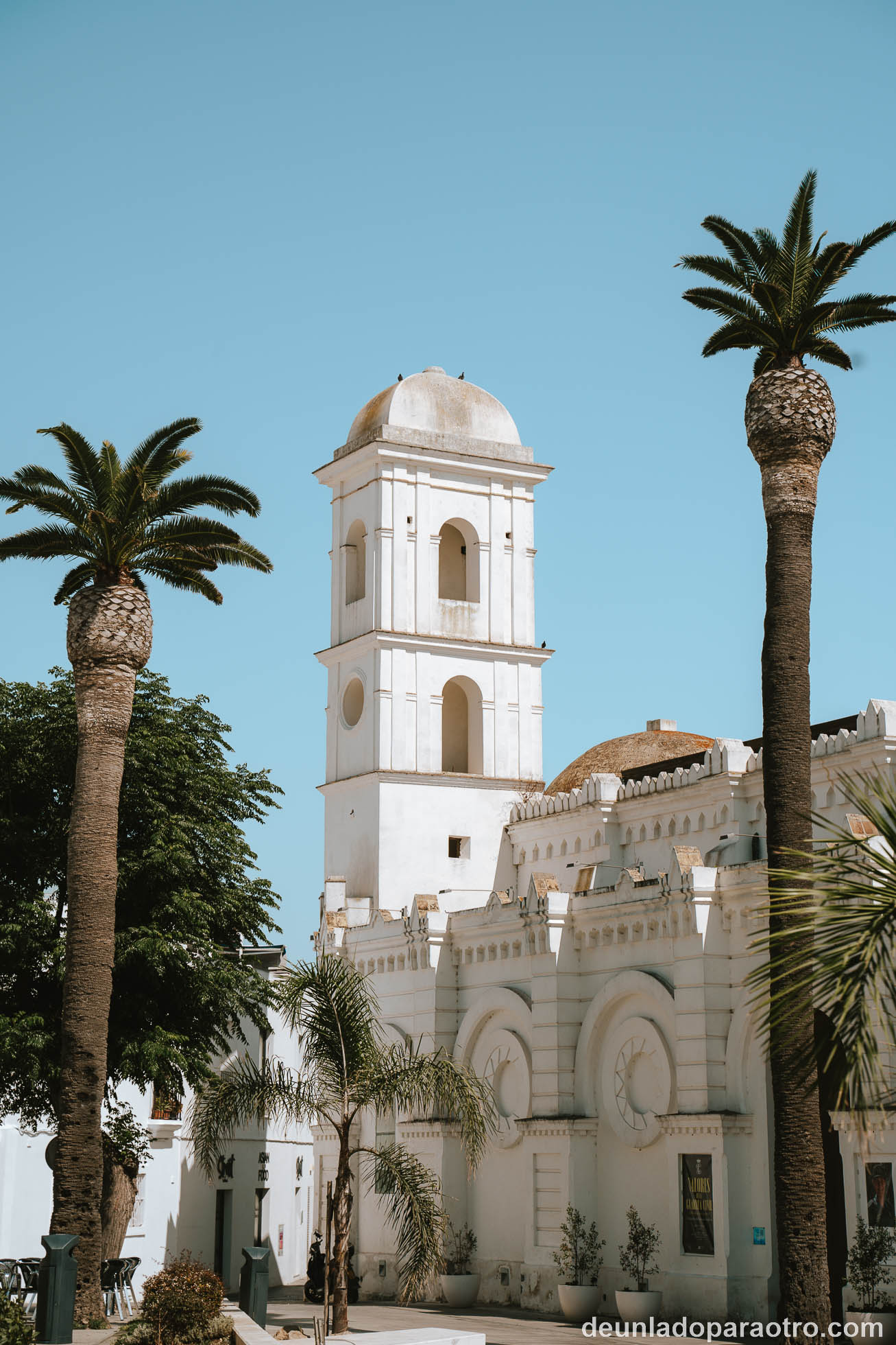 Mejores excursiones que hacer desde Cádiz
