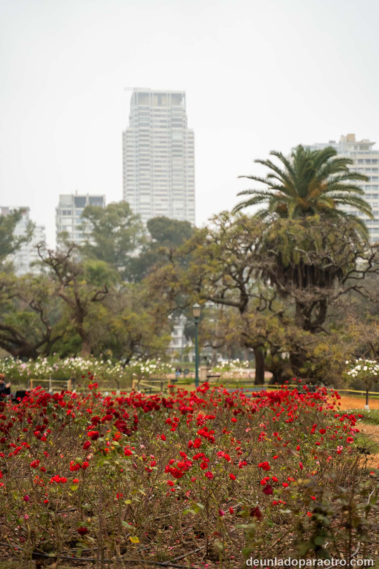 Mejores cosas que ver en Buenos Aires en 3 días