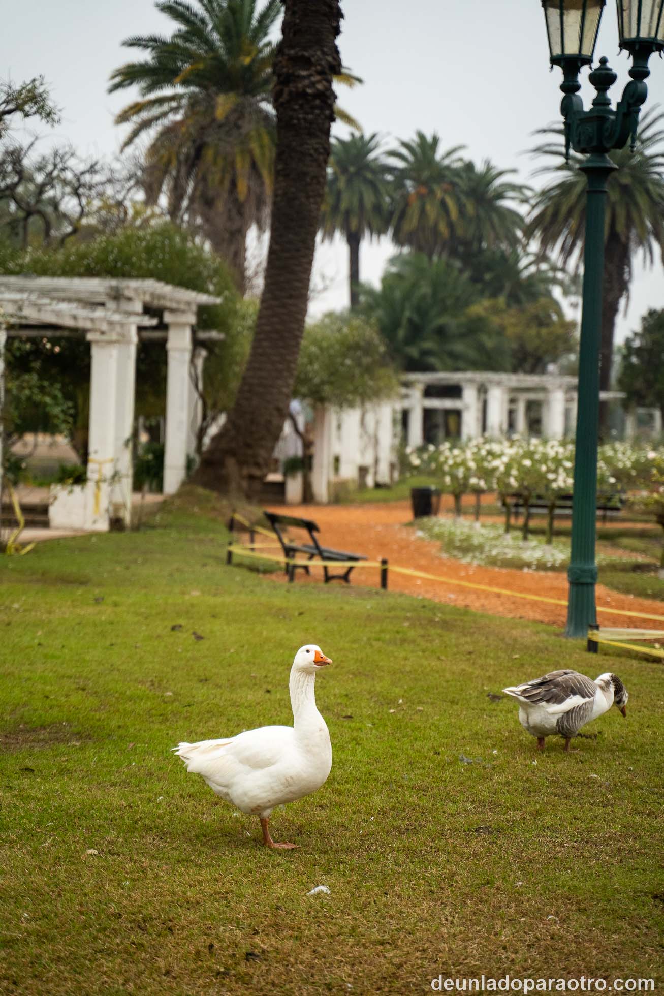 Mejores cosas que ver en Buenos Aires en 3 días