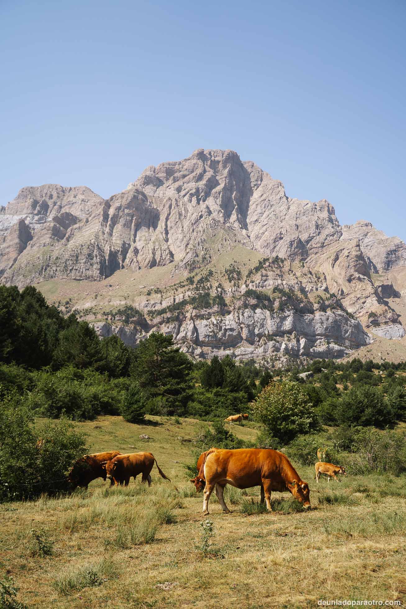 Huesca en 4 días