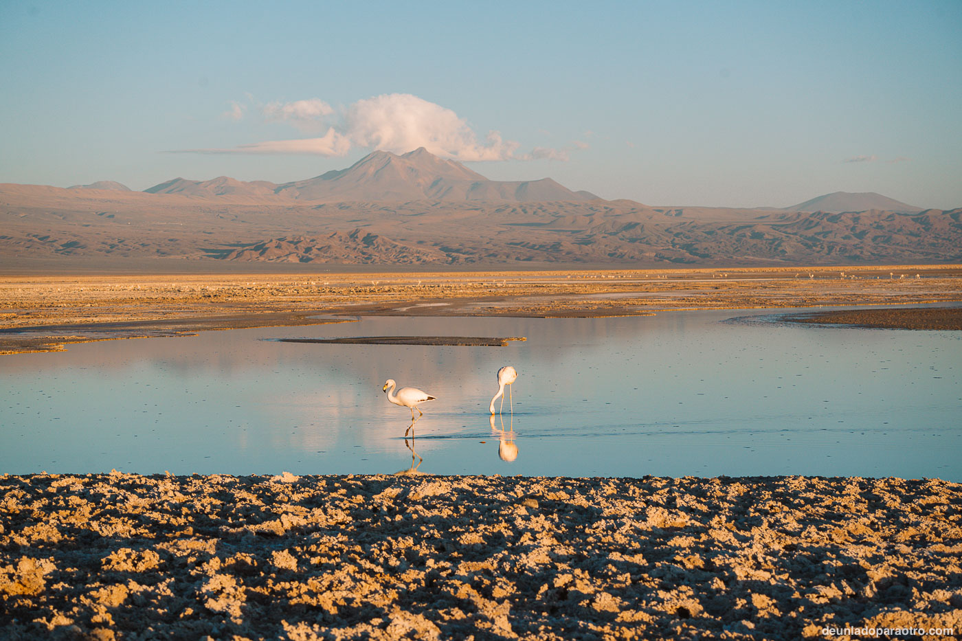 Qué ver en Atacama en 3 días