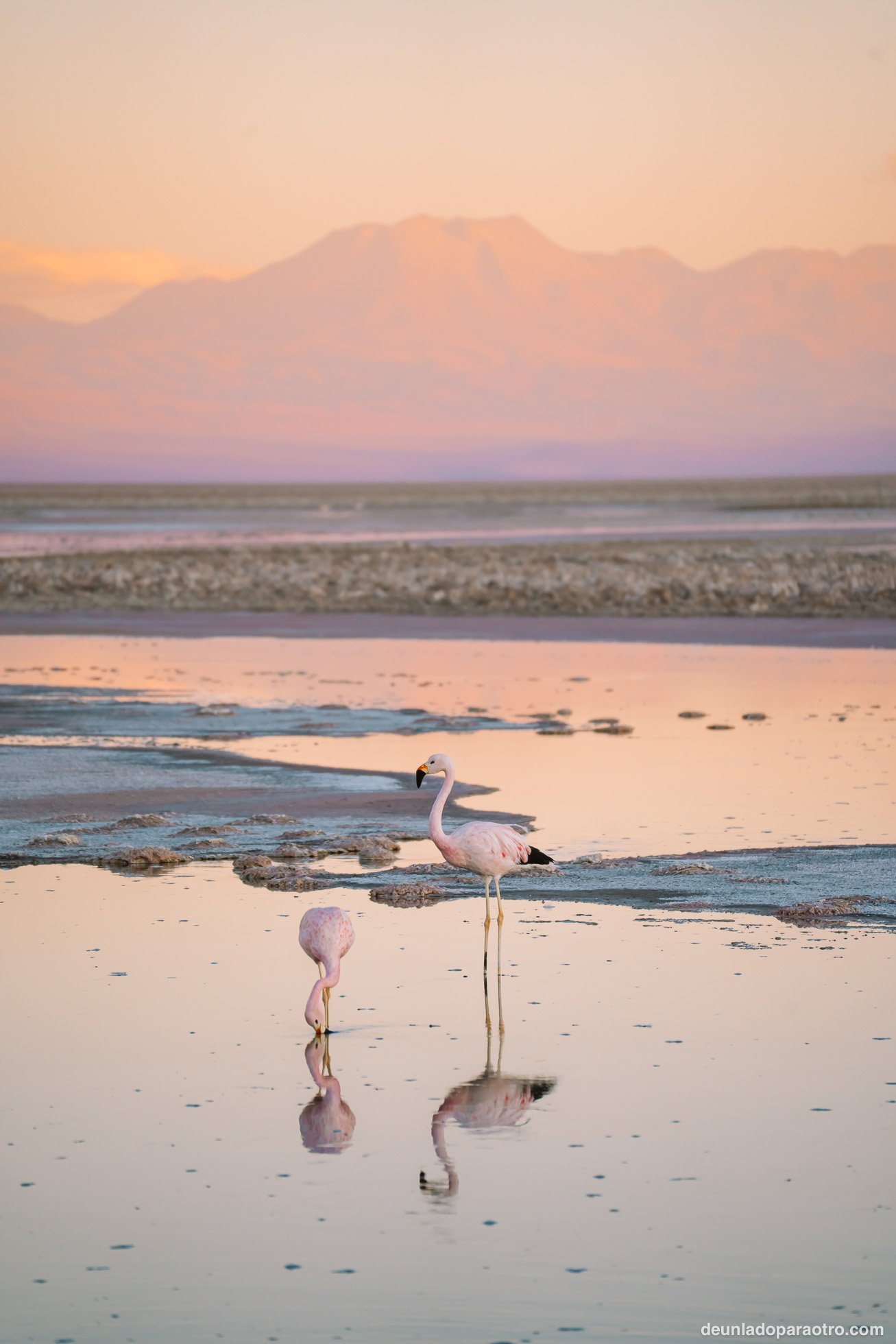 Qué ver en Atacama en 3 días