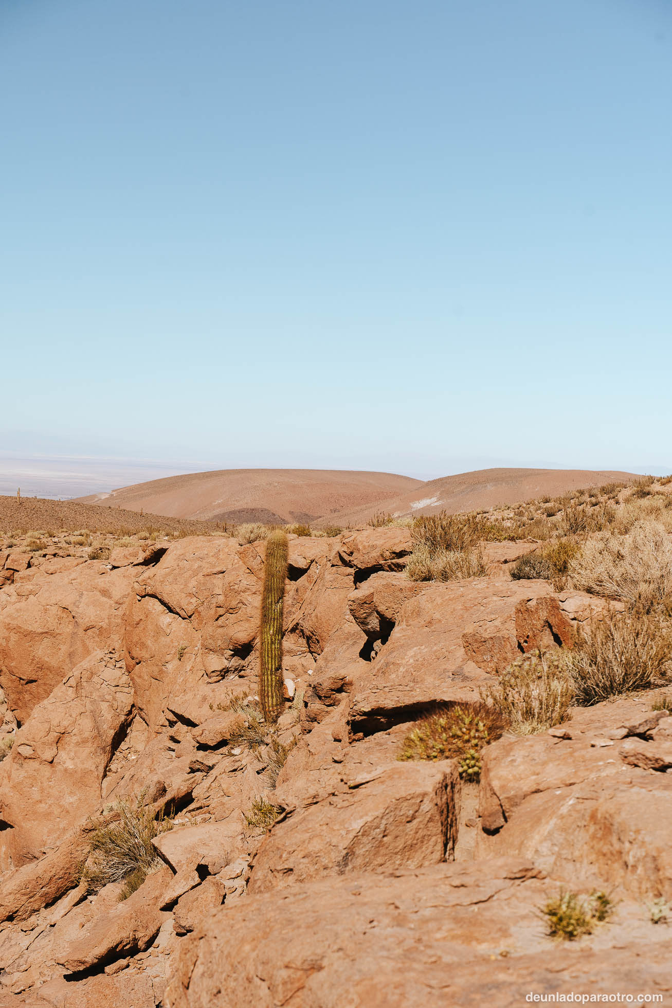 Cómo moverse por Atacama