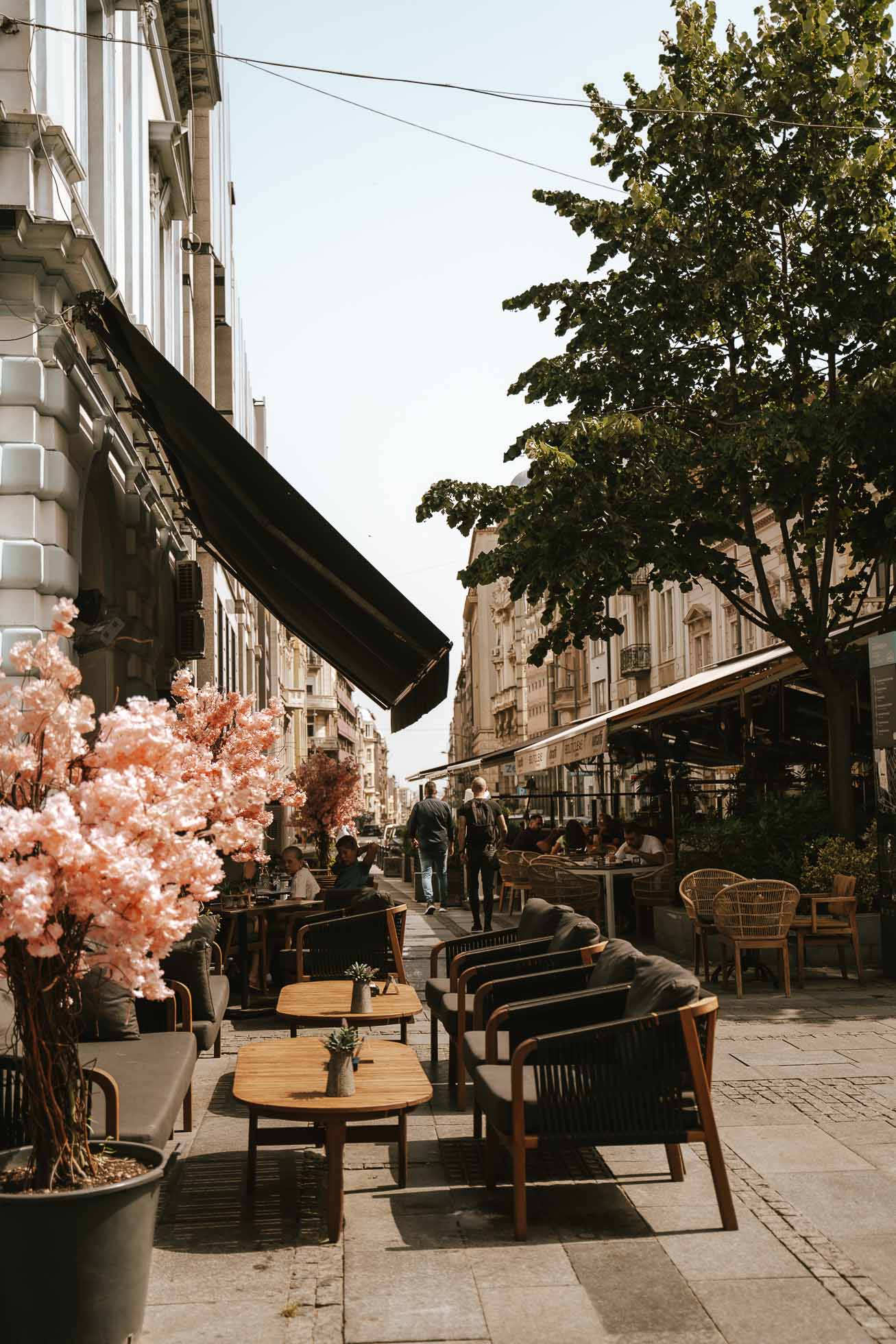 Calle Knez Mihailova, una avenida elegante que ver en Belgrado en 1 día