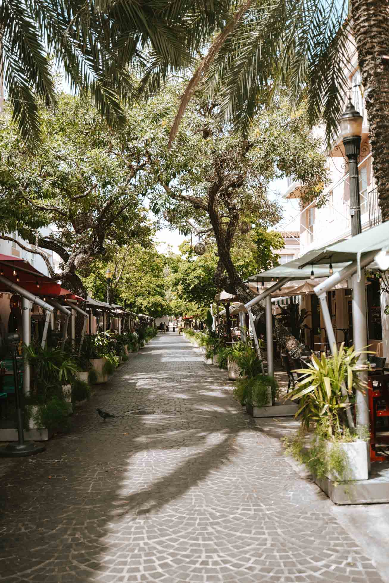 Calle peatonal llena de restaurantes y bares, lo mejor de Miami
