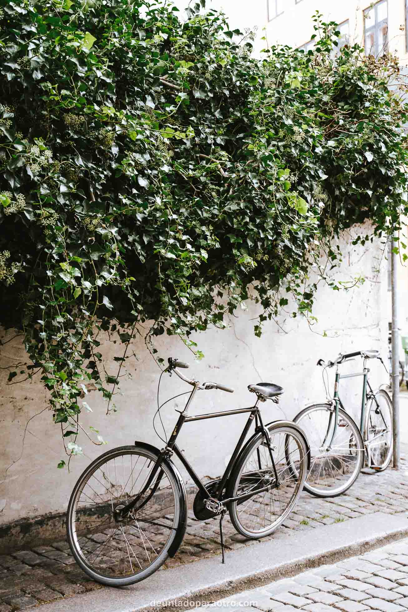 Bicicletas, algo que ver en Copenhague