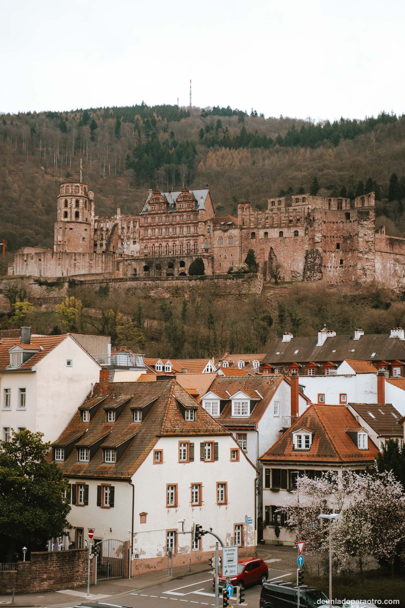 Castillo de Heidelberg, la atracción más popular que ver en Heidelberg