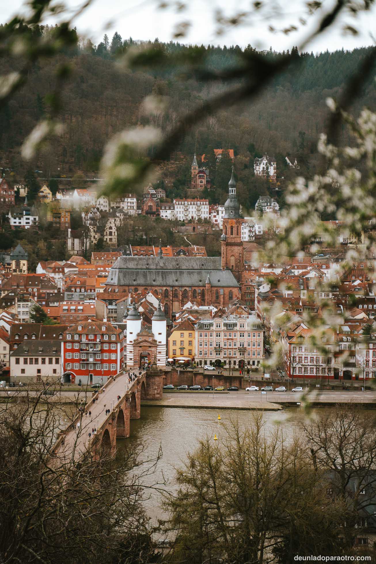 Puente Alte Brücke, uno de los mejores lugares que ver en Heidelberg