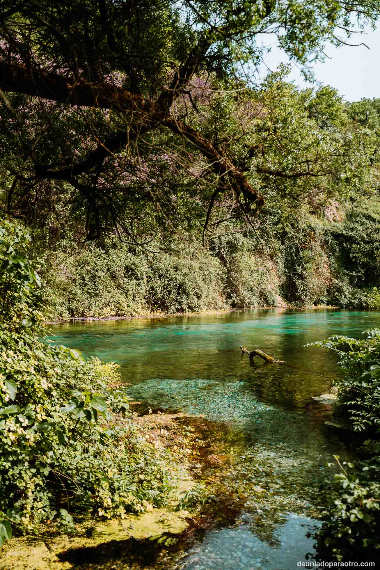 Blue Eye, uno de los lugares naturales más bonitos que ver en tu ruta por Albania en 10 dias