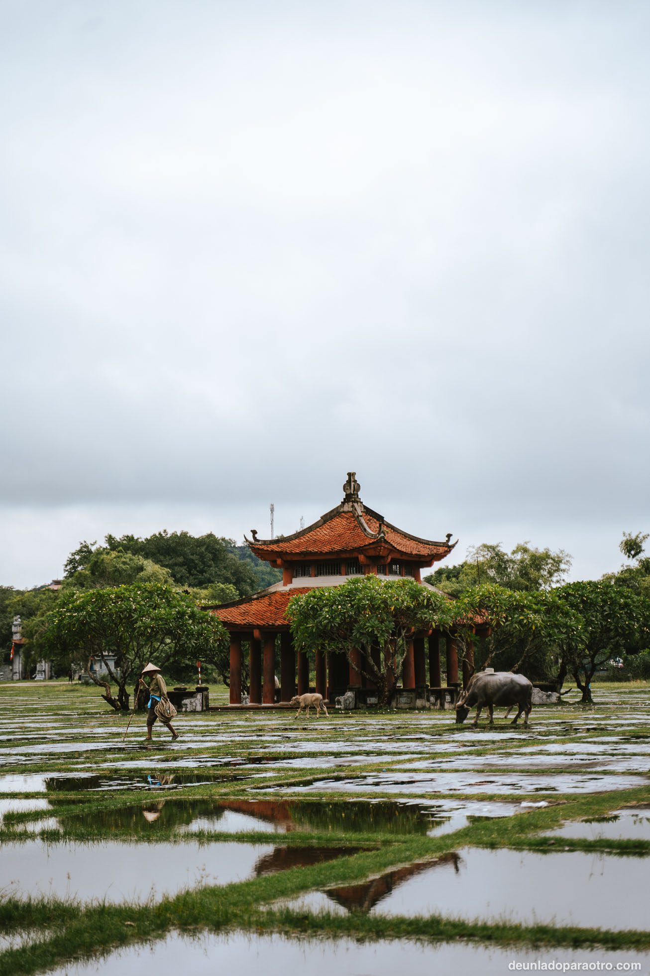 Hoa Lu, la antigua capital y una visita histórica que hacer en Ninh Binh